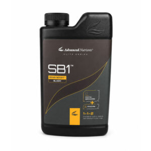 SB1 1 lt